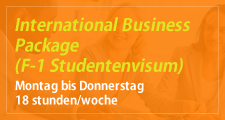 International Business Package (F-1 Studentenvisum) Montag bis Donnerstag 18 stunden/woche